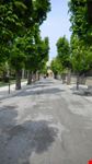 il paese