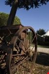 il Residence Fattoria Palazzeta nasce da ex Fattoria