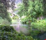 fiume Ninfa fiume Ninfa
