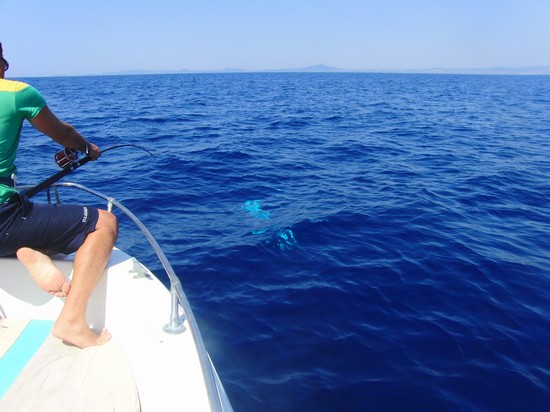 Pesca
