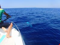 Pesca