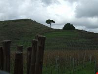 Panorama da Monte Troina
