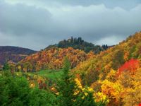 Colori d'autunno Montetortore