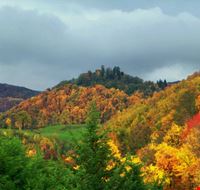 Colori d'autunno Montetortore Colori d'autunno Montetortore