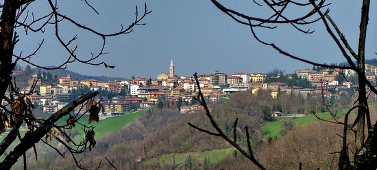 Zocca