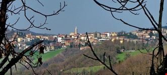 Zocca