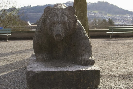 L'orso di Berna