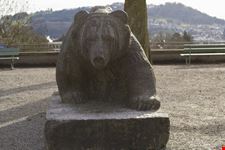 L'orso di Berna
