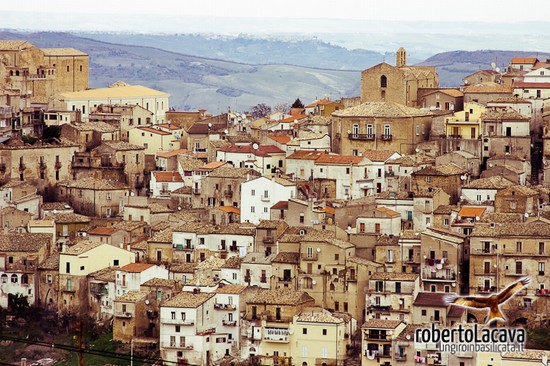 Risultati immagini per TRICARICO