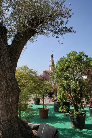 FESTA DI PRIMAVERA