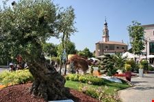 FESTA DI PRIMAVERA