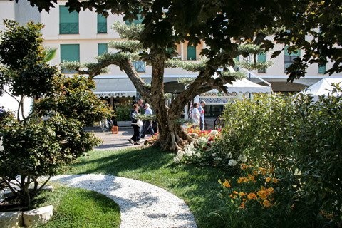 FESTA DI PRIMAVERA