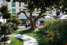 FESTA DI PRIMAVERA