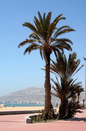Passeggiata vicino la spiaggia