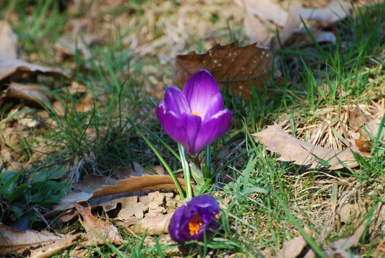 Parco la Burcina (BI)