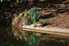 Parco la Burcina (BI)