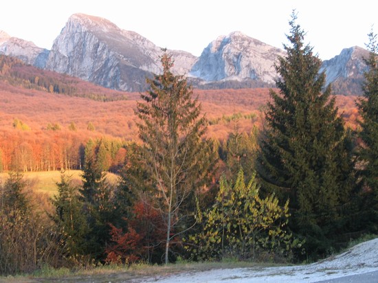 Gita autunnale in Cansiglio