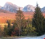 Gita autunnale in Cansiglio Gita autunnale in Cansiglio
