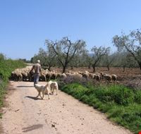 In passeggiata In passeggiata