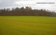 Abbazia di San Galgano-La spada nella roccia