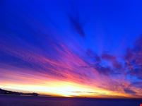 alba