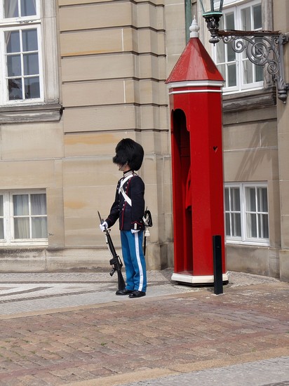 Guardia reale