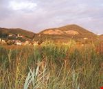 Oasi Lipu sul lago di Massaciuccoli Oasi Lipu sul lago di Massaciuccoli