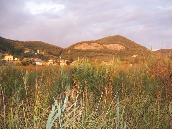  In questo piccolo assaggio di paradiso terrestre si possono vedere uccelli di ogni specie danzare sull'acqua e fra i canneti.  