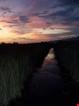Lago di Massaciuccoli