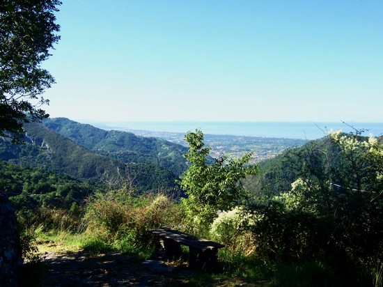 Fabbiano