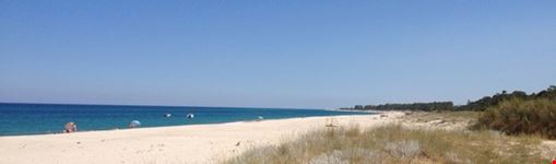 la spiaggia di S.Andrea , patria delle tartarughe :)