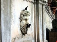 Musei Vaticani