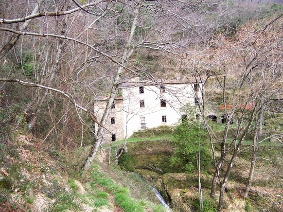 Fabbiano