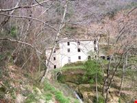 Fabbiano