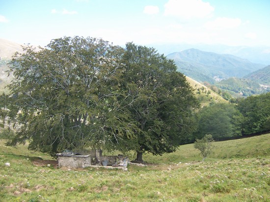 Monte Matanna