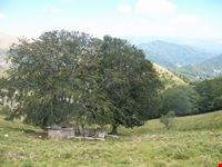 Monte Matanna