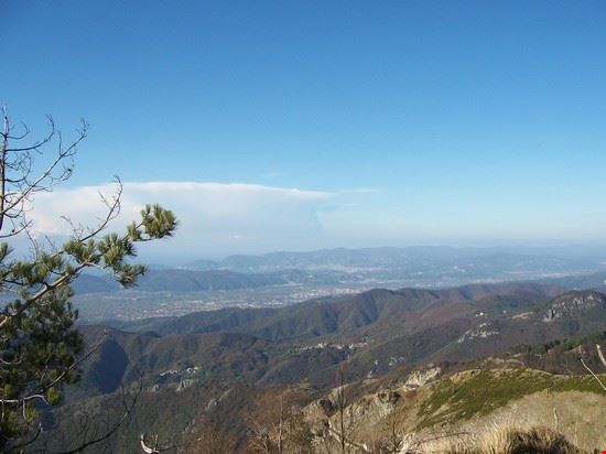  Carrara  