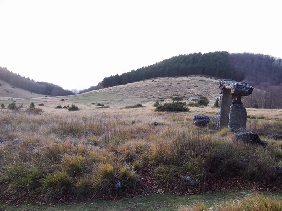 Campo Cecina