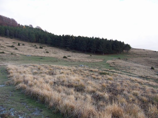Campo Cecina