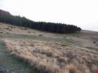 Campo Cecina