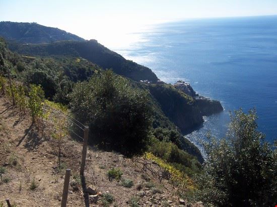 Giro delle Cinque Terre Percorrendo la via azzurra delle cinque terre  