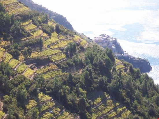 Giro delle Cinque Terre Vernazza  