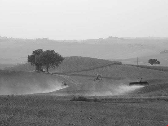 Valdorcia Pienza  