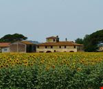 Fattoria e Girasoli Fattoria e Girasoli