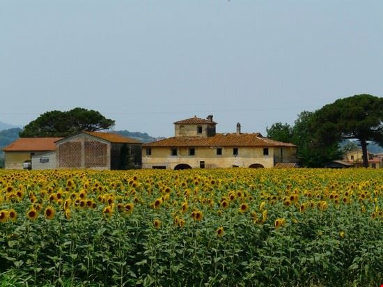  Cascina  