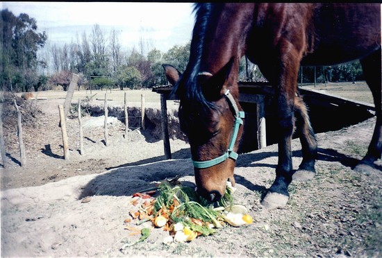 Mapiù