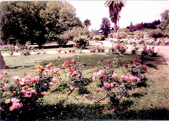 Parque San Martìn