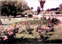 Parque San Martìn