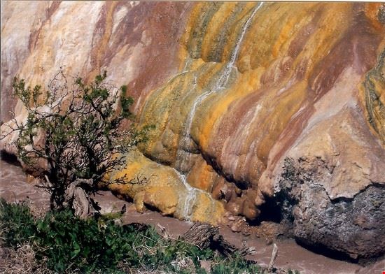 El puente del inca Mendoza  