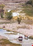 Valle del Uco